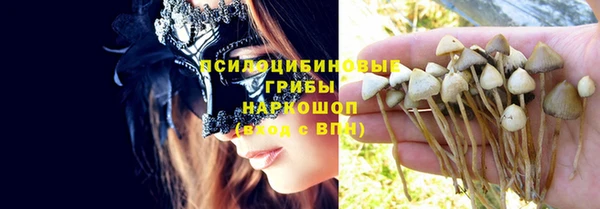 apvp Белокуриха