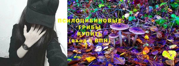 бошки Беломорск