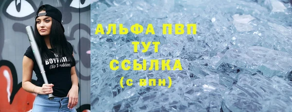 apvp Белокуриха
