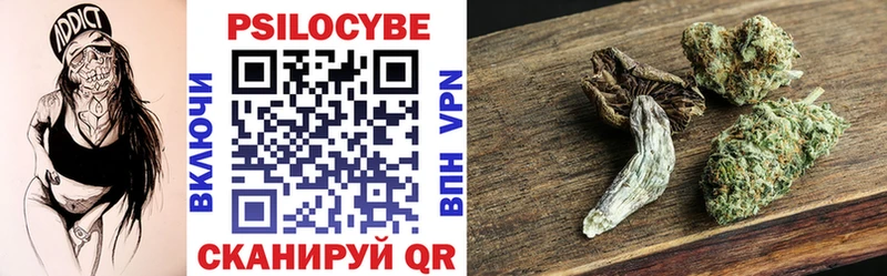 Купить  Сухой Лог  Псилоцибиновые грибы Psilocybe 